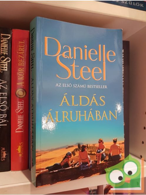 Danielle Steel: Áldás álruhában (Ritka)