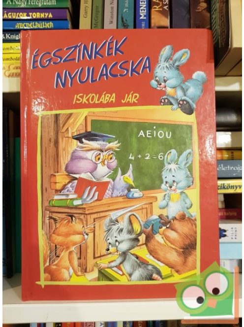 Égszinkék nyulacska iskolába jár