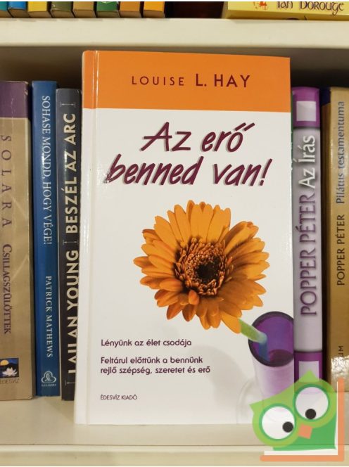 Louise L. Hay: Az erő benned van!