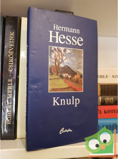 Hermann Hesse: Knulp