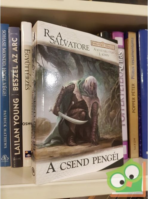 R. A Salvatore: A csend pengéi (A sötétség útja 1.) (Drizzt legendája 11)