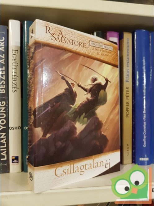 R. A Salvatore: Csillagtalan éj (A drow öröksége 2.) (Drizzt legendája 8.)