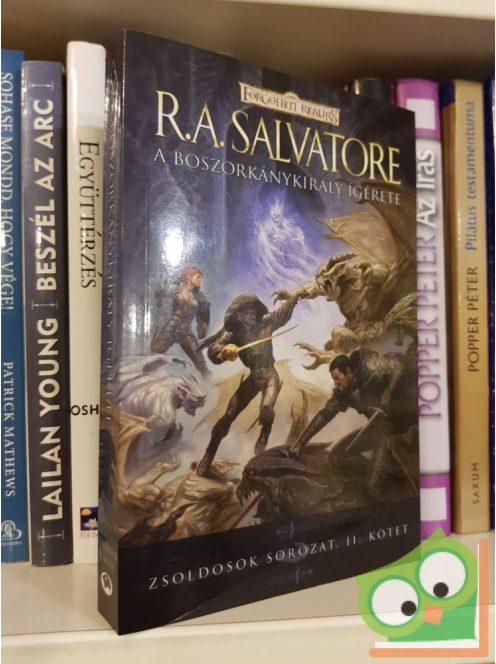 R. A. Salvatore: A boszorkánykirály ígérete (Zsoldosok 2.)