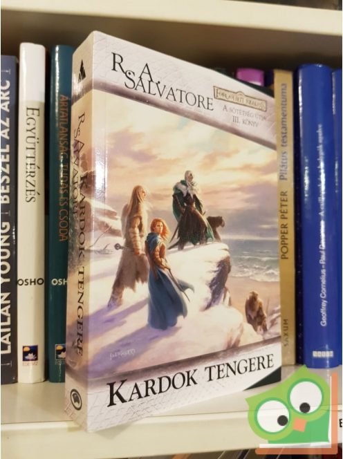 R. A Salvatore: Kardok tengere (A sötétség útja 3.) (Drizzt legendája 13.)