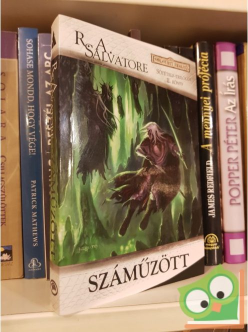 R. A Salvatore: A száműzött (Sötételf Trilógia 2.) (Drizzt legendája 2.)