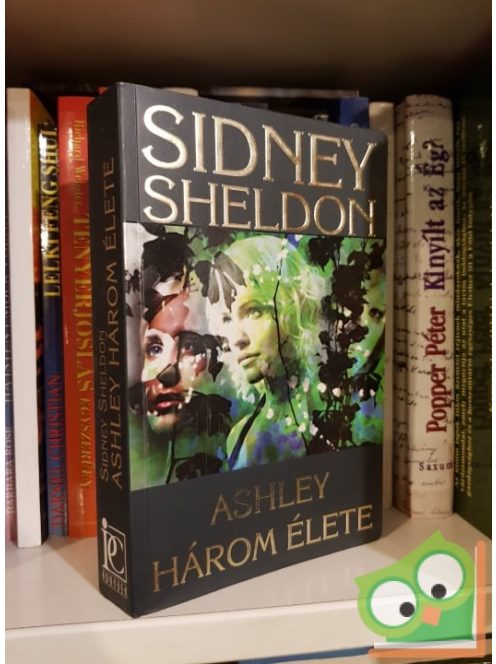 Sidney Sheldon: Ashley három élete