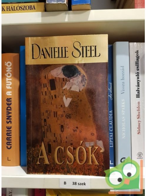 Danielle Steel: A csók