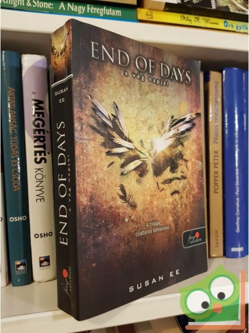 Susan Ee: End of Days - A vég napjai (Angelfall 3.)