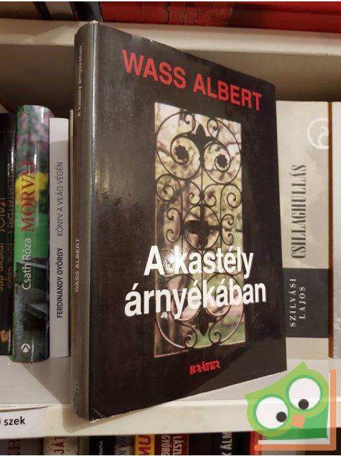 Wass Albert: A kastély árnyékában