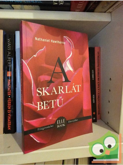 Nathaniel Hawthorne: A skarlát betű (Elle book sorozat)