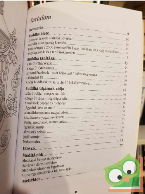 Ole Nydahl: Ahogy a dolgok vannak (Buddhizmus napjainkban)