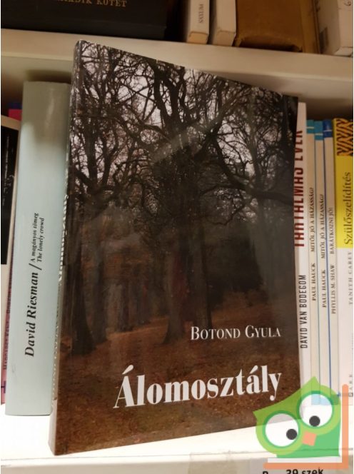 Botond Gyula: Álomosztály