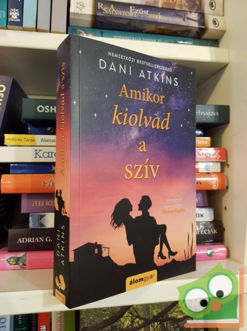 Dani Atkins: Amikor kiolvad a szív