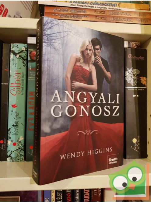 Wendy Higgins: Angyali gonosz (Sweet Evil 1.) (ritka)