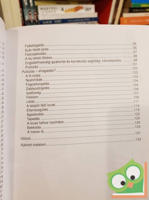 Ulrik Schramm: Az elrontott ló utóidomítása (Lovasakadémia 3.) (nagyon ritka)