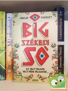 Haklik Norbert: Big Székely Só