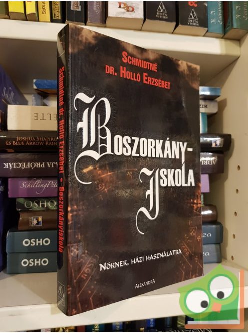 Schmidtné Holló Erzsébet: Boszorkányiskola