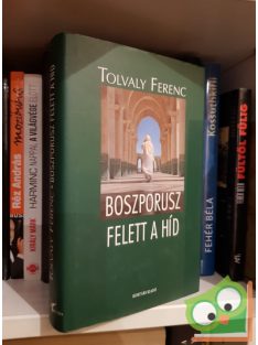 Tolvaly Ferenc: Boszporusz felett a híd