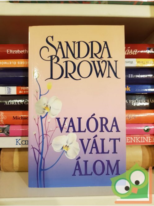 Sandra Brown: Valóra vált álom (Mason testvérek 1.)