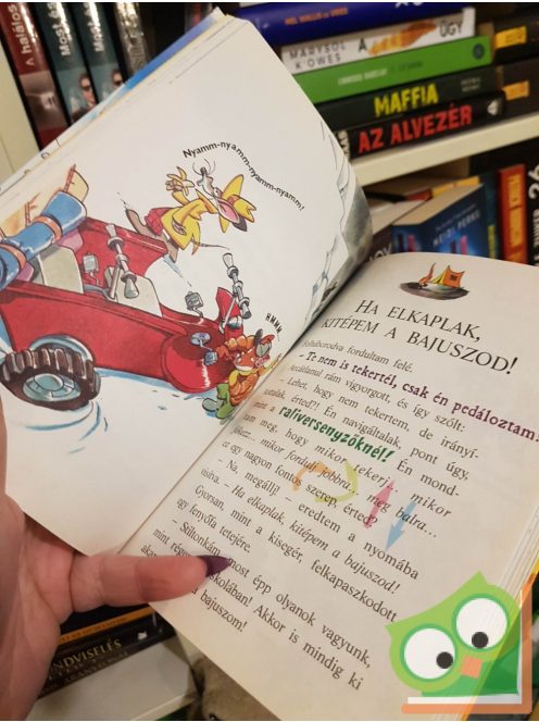 Geronimo Stilton: A bűzösen bűzlő vulkán különös esete (Geronimo Stilton 44.)