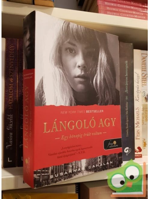 Susannah Cahalan: Lángoló agy