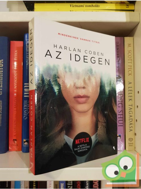 Harlan Coben: Az idegen (Netflix sorozat)