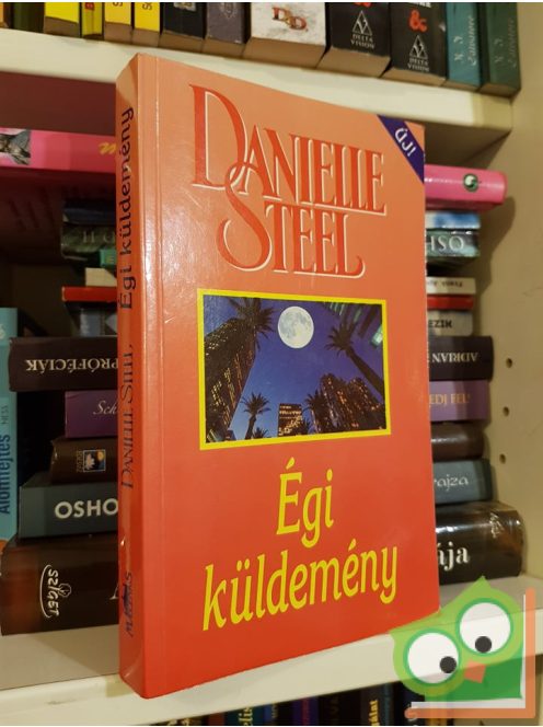 Danielle Steel: Égi küldemény