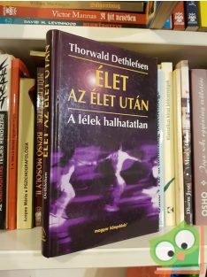 Thorwald Dethlefsen: Élet az élet után