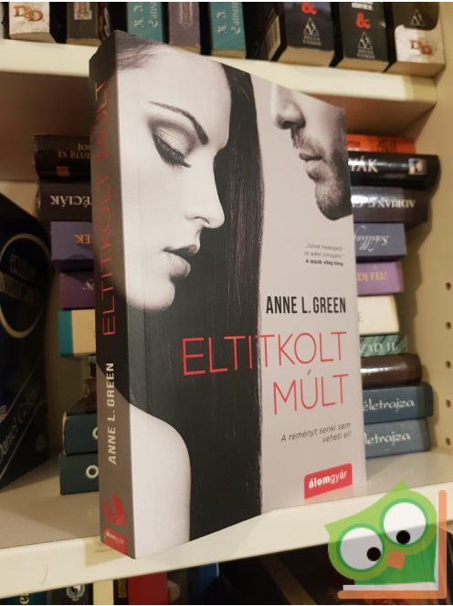 Anne L. Green: Eltitkolt múlt (Eltitkolt múlt 1.)