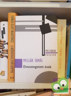 Mellár Tamás: Elvesztegetett évek