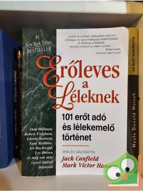 Jack Canfield - Mark Victor Hansen: Erőleves a léleknek