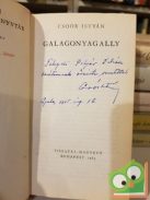 Csoór István: Galagonyagally (Dedikált)