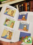 Jim Davis: Zseb-Garfield 100 - Az aranytoll-díjas