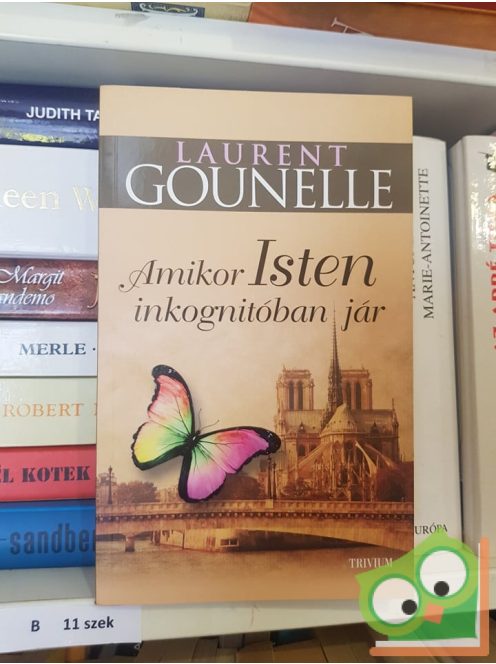 Laurent Gounelle: Amikor Isten inkognitóban jár