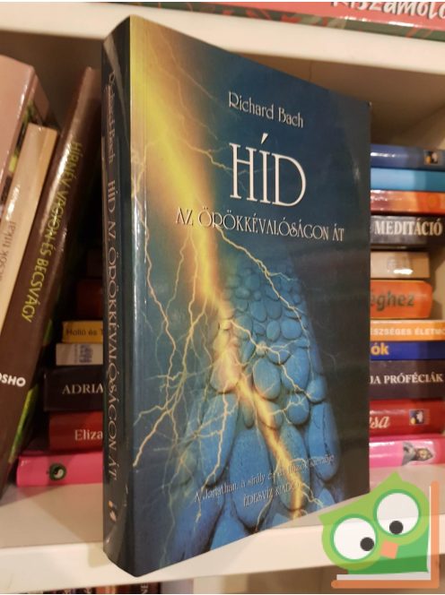 Richard Bach: Híd az örökkévalóságon át