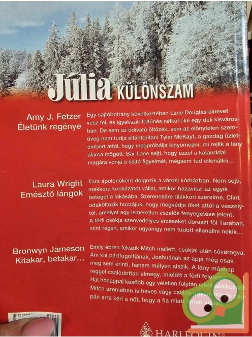 Júlia különszám 2006/18