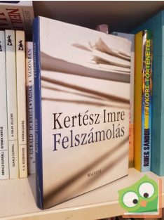 Kertész Imre: Felszámolás