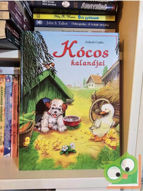 Feketű Csaba: Kócos kalandjai