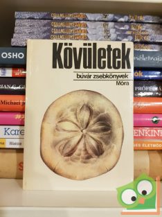 Scholz Gábor: Kövületek (Búvár zsebkönyvek)