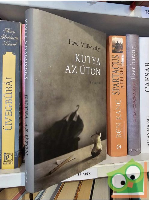 Pavel Vilikovský: Kutya az úton