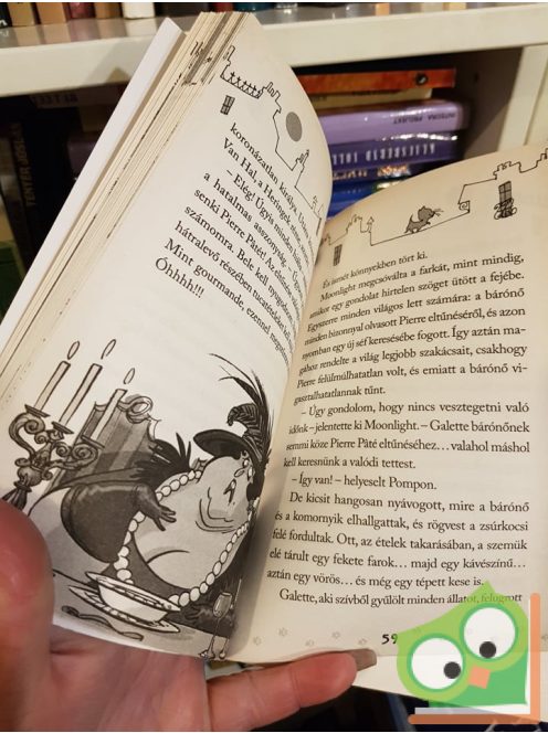 A. Gatti, D. Morosinotto: Ki rabolta el a tűzhely királyát? (Macskadetektívek 1.)