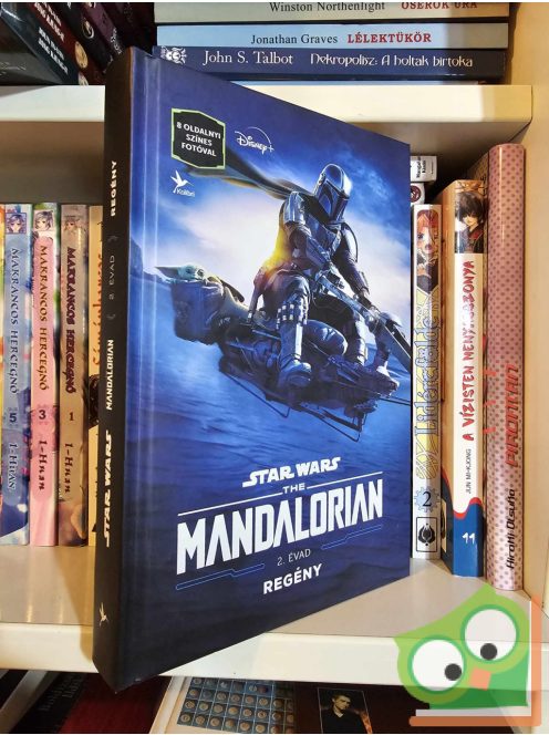 Joe Schreiber: The Mandalorian - 2. évad (Star Wars: The Mandalorian 2.)