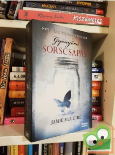   Jamie McGuire: Gyönyörű sorscsapás (Gyönyörű sorscsapás 1.)