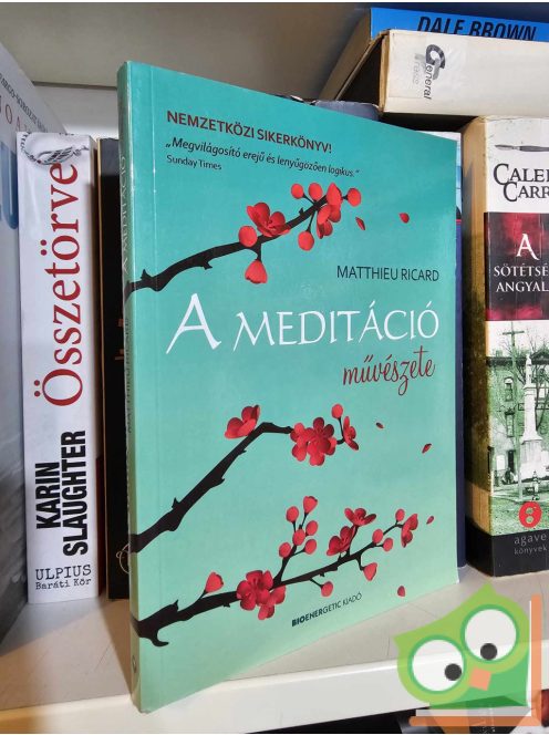 Matthieu Ricard: A meditáció művészete (újszerű)