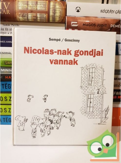 Sempé - Goscinny: Nicolas-nak gondjai vannak