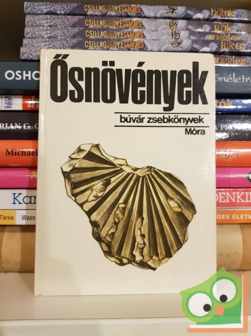 Hably Lilla: Ősnövények (Búvár zsebkönyvek)