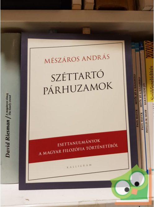 Mészáros András: Széttartó párhuzamok