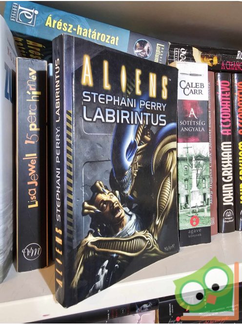 Stephani Perry: Labirintus (Aliens 7.)