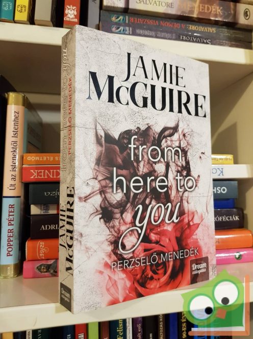 Jamie McGuire: From Here to You - Perzselő menedék (Crash and Burn 1.)