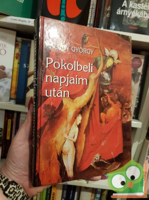 Faludy György: Pokolbeli napjaim után (Pokolbeli napjaim 2.)